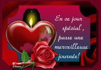 c'est fou
