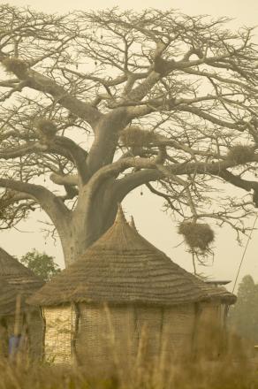 casamance