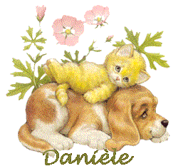 chien et chat